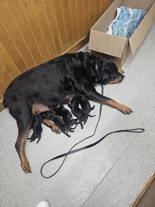 Horizon Veterinary Services Picture 7