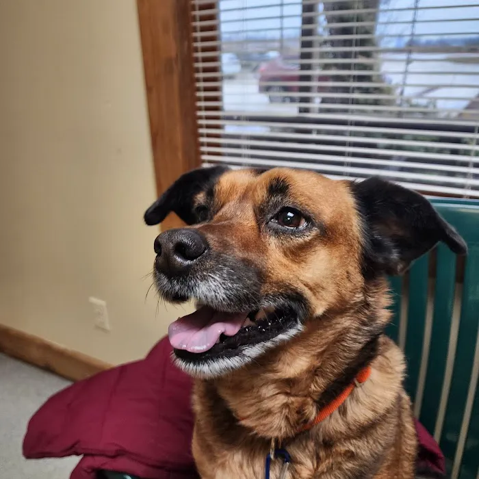 Horizon Veterinary Services Picture 9
