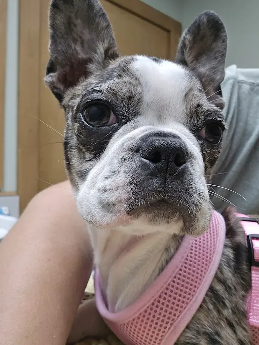 Horizon Veterinary Services Picture 1