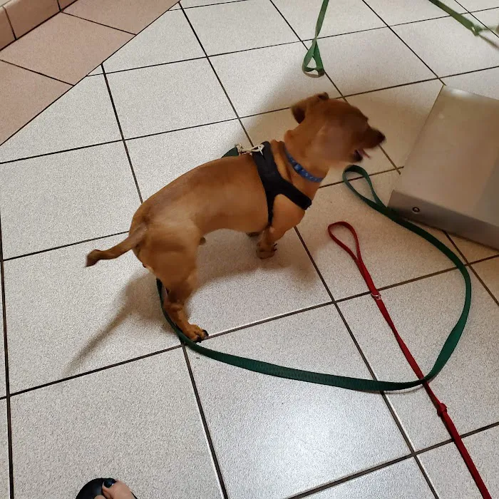 Jefferson Road Animal Hospital Picture 10