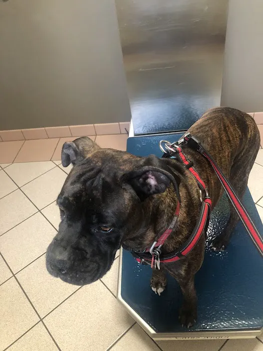 Jefferson Road Animal Hospital Picture 5
