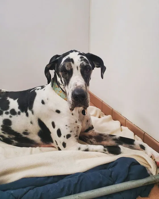 Jefferson Road Animal Hospital Picture 1