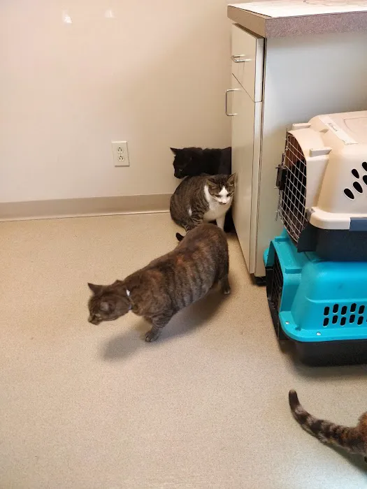 Jefferson Road Animal Hospital Picture 9