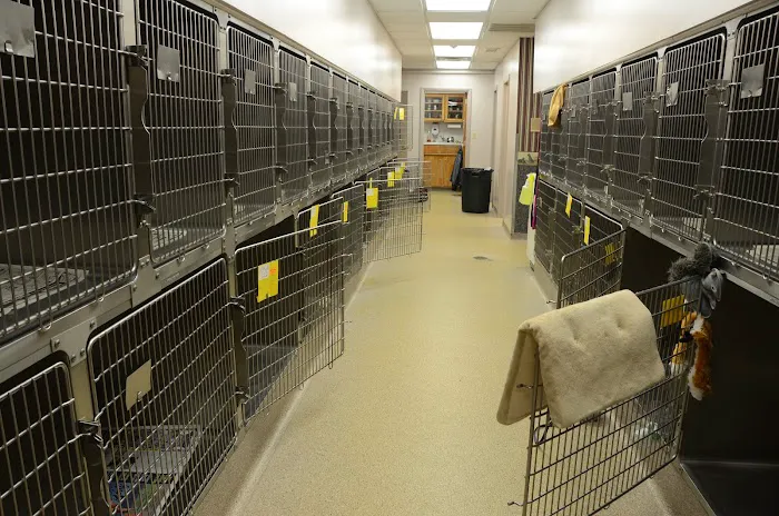 Kokomo Animal Hospital Picture 4