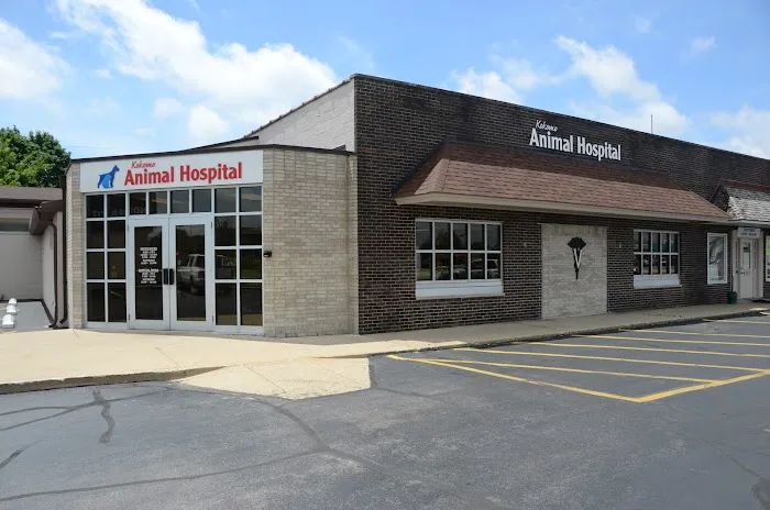 Kokomo Animal Hospital Picture 8