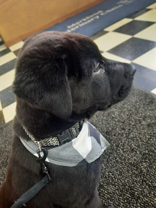 Markland Veterinary Clinic Picture 4