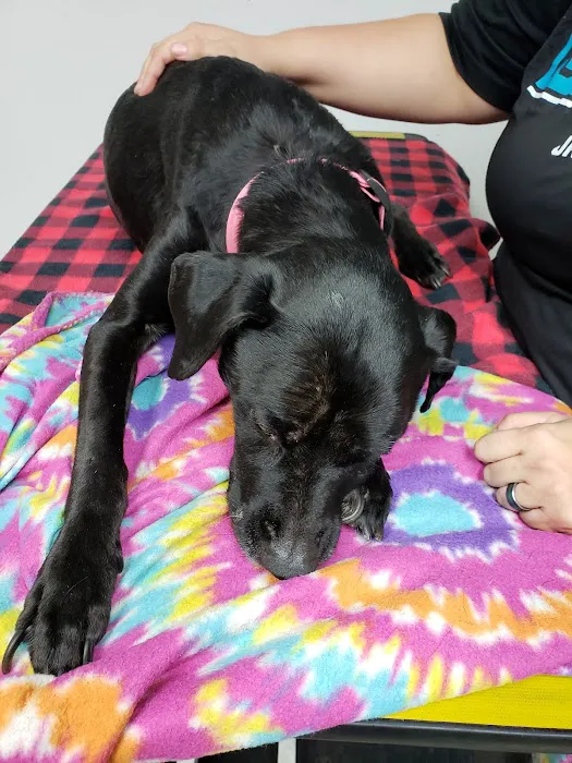 Markland Veterinary Clinic Picture 2