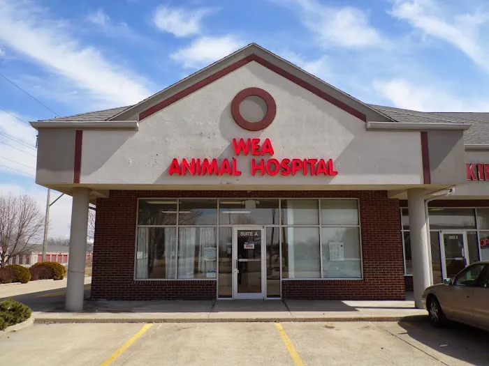 WEA Animal Hospital Picture 2