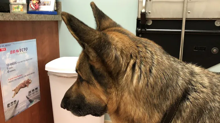WEA Animal Hospital Picture 10