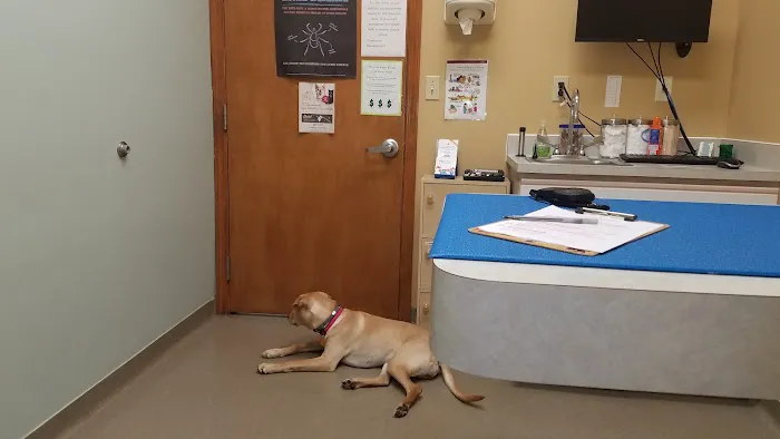 VCA Paw Prints Animal Hospital Picture 6