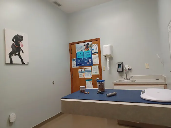 VCA Paw Prints Animal Hospital Picture 4
