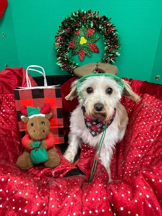 Petsburgh Pet Care Picture 8