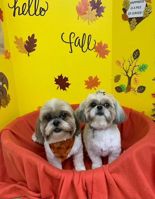 Petsburgh Pet Care Picture 1