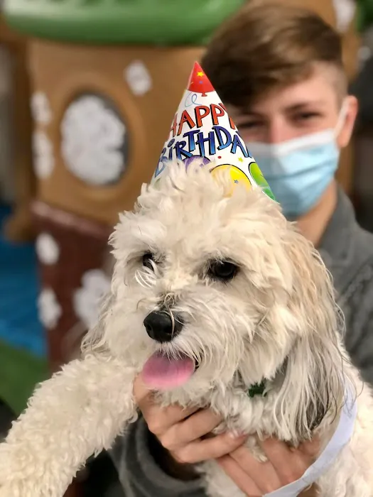 Petsburgh Pet Care Picture 4