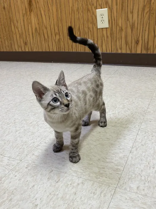 Battle Ground Veterinary Clinic, PC Picture 1