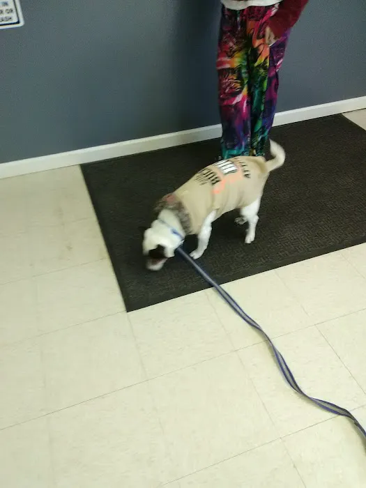 Battle Ground Veterinary Clinic, PC Picture 6