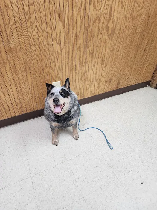 Battle Ground Veterinary Clinic, PC Picture 8