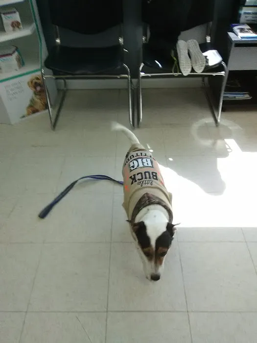 Battle Ground Veterinary Clinic, PC Picture 9