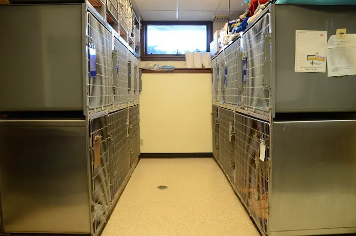 Shell Animal Clinic Picture 7