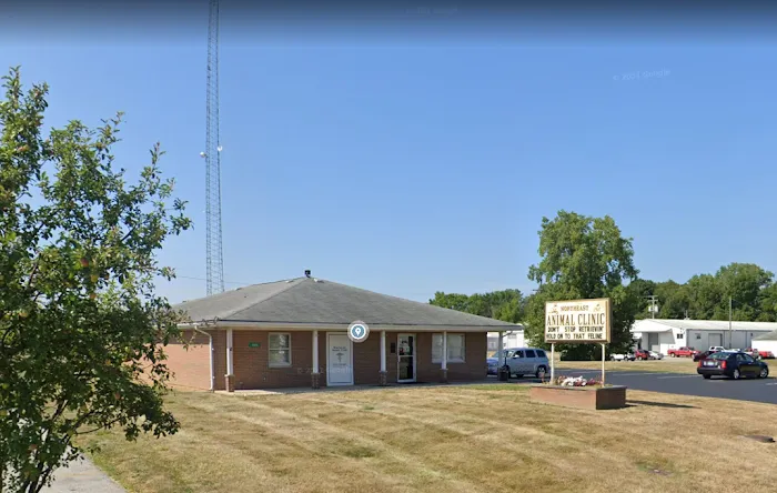 Northeast Animal Clinic Picture 8