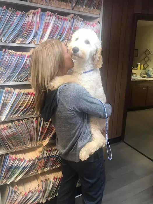 Northeast Animal Clinic Picture 10
