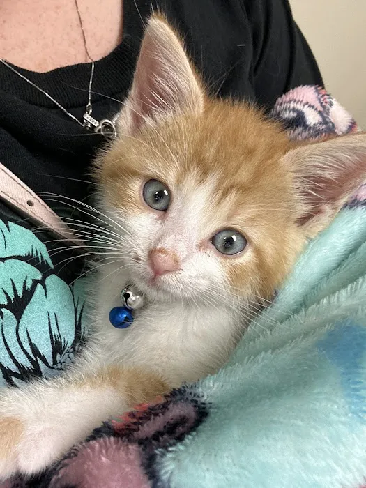Vetco Total Care Animal Hospital Picture 1
