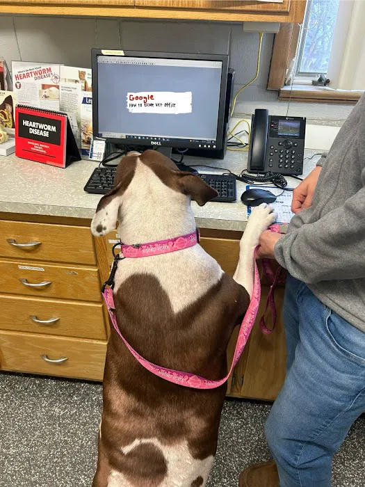 Lansing Animal Hospital Picture 9