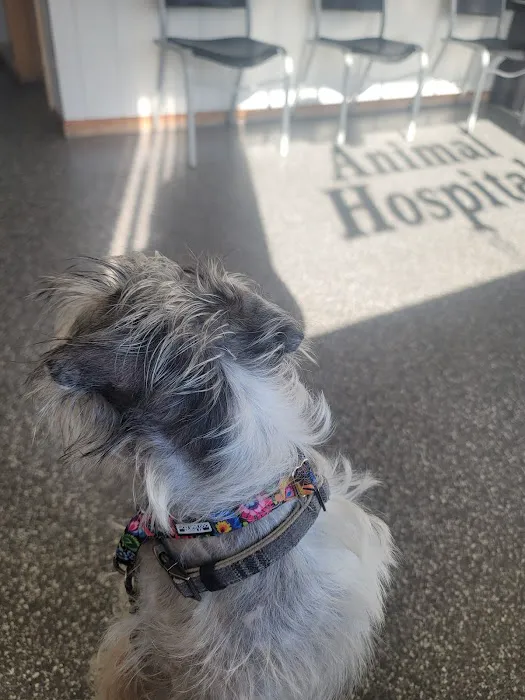 Lansing Animal Hospital Picture 4
