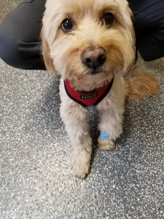 Lansing Animal Hospital Picture 7