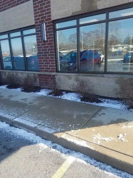Glensted Pet Clinic Picture 10