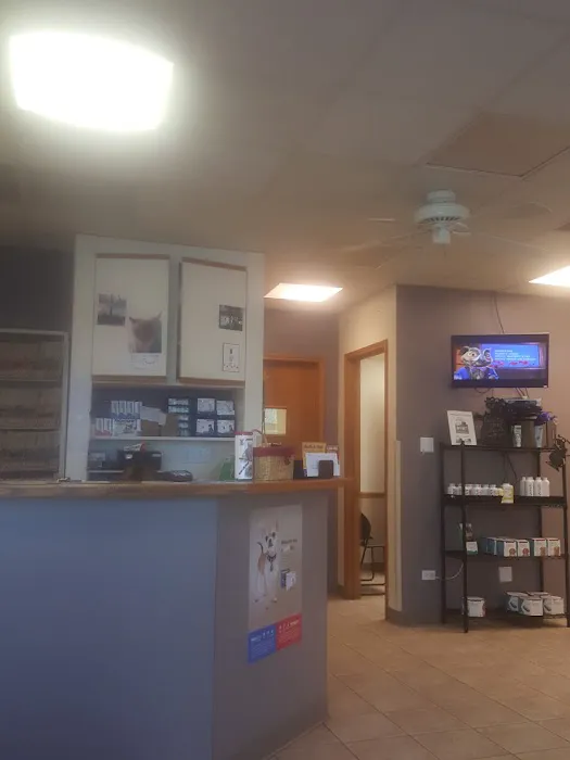 Glensted Pet Clinic Picture 9