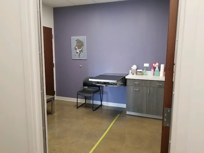 Glensted Pet Clinic Picture 5