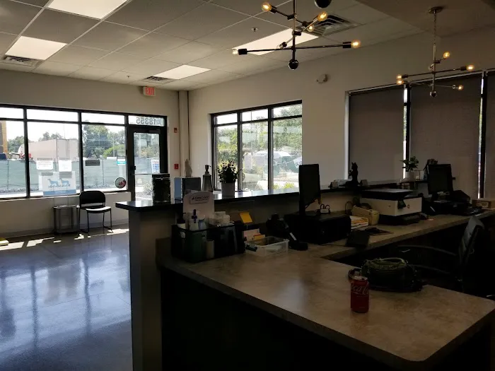 Glensted Pet Clinic Picture 6