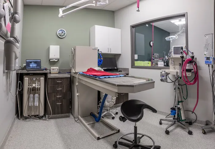 Homewood Veterinary Care Picture 5
