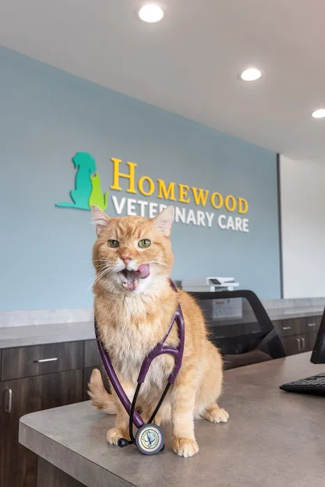Homewood Veterinary Care Picture 8
