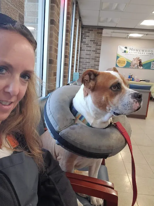 Homewood Veterinary Care Picture 3