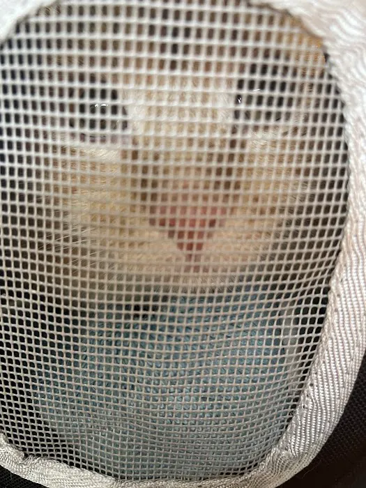 Hammond Pet Hospital Picture 7