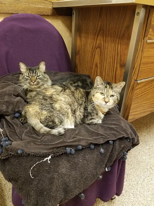 Ridge Animal Clinic Picture 5