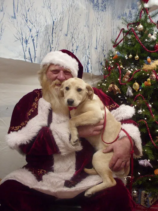 Ridge Animal Clinic Picture 9