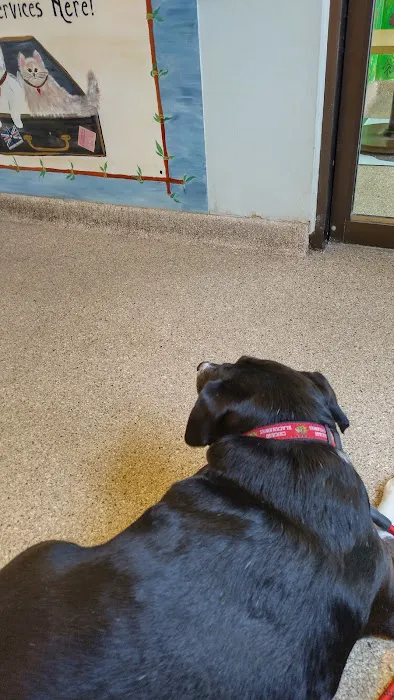 Ridge Animal Clinic Picture 4