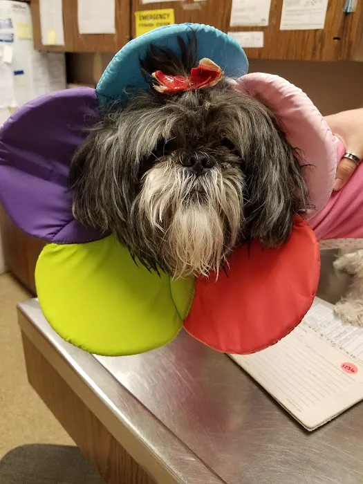 Ridge Animal Clinic Picture 1