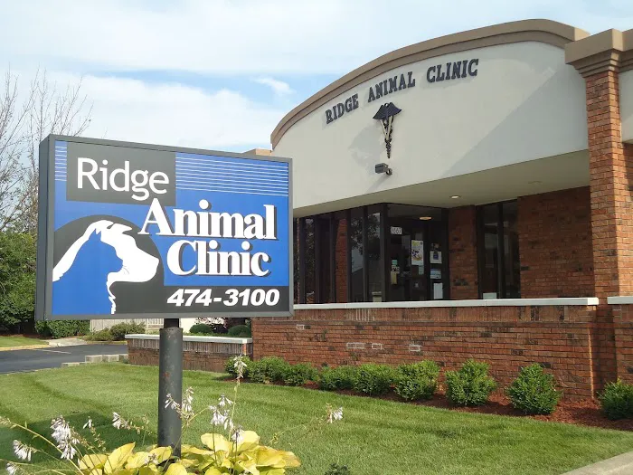 Ridge Animal Clinic Picture 3