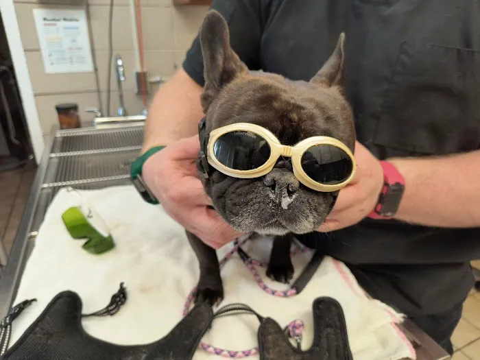 Woodmar Animal Clinic Picture 10