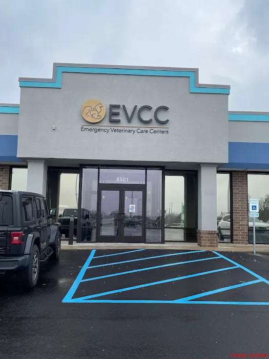 Emergency Veterinary Care Centers Picture 6