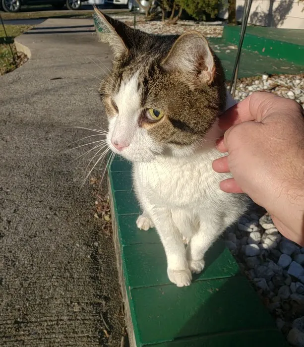 Glenwood Village Pet Hospital Picture 6