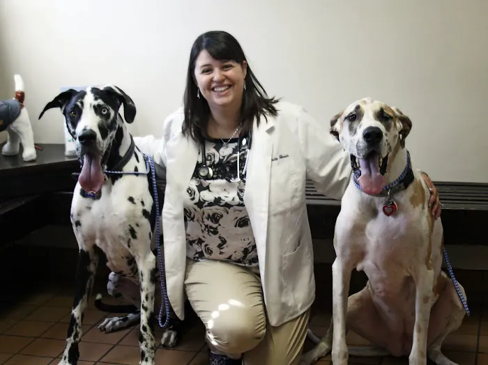 Glenwood Village Pet Hospital Picture 1