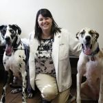 Glenwood Village Pet Hospital