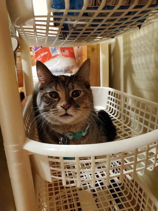 Highland Animal Hospital Picture 10