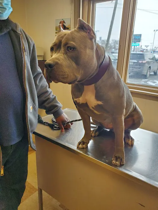 Highland Animal Hospital Picture 3