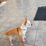Munster Animal Hospital: Foster Mike DVM